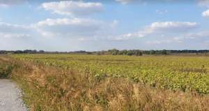 Продам земельный участок под строительство АЗС или придорожного комплекса - объявление