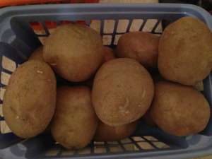 Продам картофель - объявление