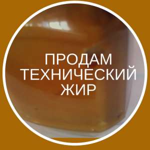 Продам куриный жир технический - объявление