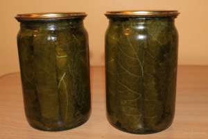 Продам маринованные виноградные листья. - объявление