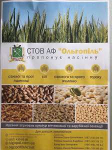 Продам насіння зернових культур - объявление