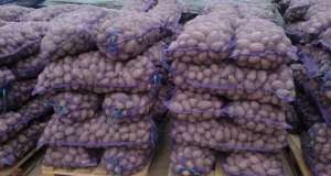 Продам оптом большую картошку от производителя сорта: Романо, Сантэ, Агата, Бэлла Росса - объявление