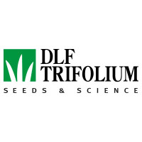 Продам семена газонной травы DLF Trifolium по оптовым ценам - объявление