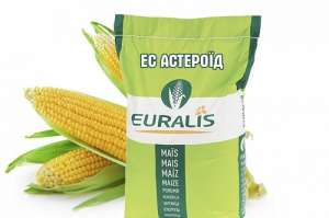 Продам семена кукурузы Астероид ЕС Евралис - объявление
