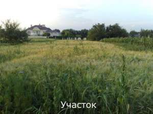 Продам участок в Васильковском районе - оголошення