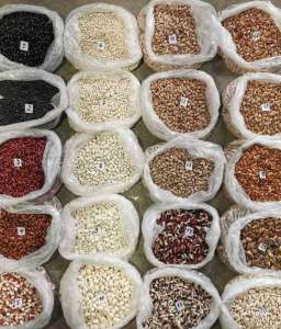 Продам фасоль Бандоля, Кидни, Кофейка, Рубин и др - объявление