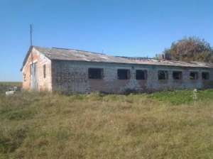 Продам ферму в аварийном состоянии + 2га - объявление