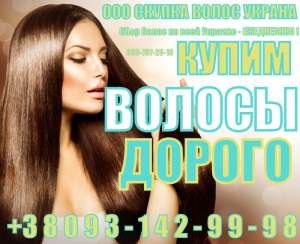 Продать волосы дорого. Волосы. Скупка волос. - объявление