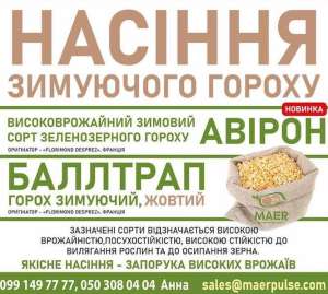 Продаємо насіння зимуючого гороху Авірон, Баллтрап - объявление