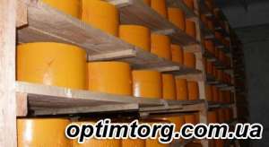 Производство и продажа твердого сыра оптом в Украине - объявление