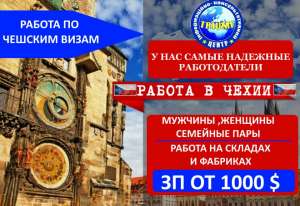Производство и упаковка кормов для животных. - объявление