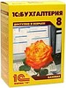 Профессиональные услуги в 1С Одесса - объявление