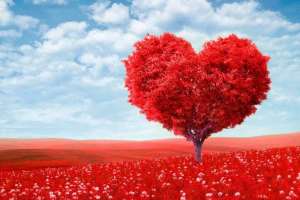 Профессиональный ПРИВОРОТ по фото с гарантией качества и безопасности. Чортков и любой город мира. Дистанционно - объявление