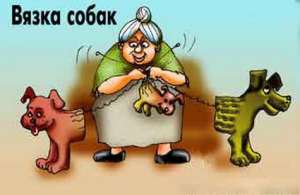 Профессиональный инструктор по вязке собак.