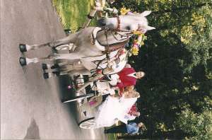 Прошу помочь деньгами безвозмездно - объявление