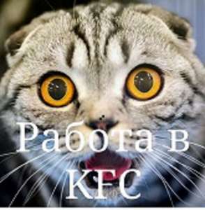 Работа в КФС - объявление