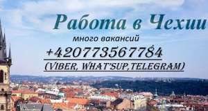 Работа в Чехии (много вакансий) - оголошення