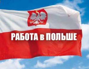 Рабочая виза и легальная работа в Польше - объявление