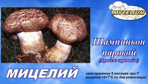 Разведение шампиньонов - грибные семена (мицелий грибов) Шампиньон паровой (Аgaricus vaporarius) почтой недорого - объявление