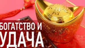 Расклад Таро «Узел отношений». Помощь опытной гадалки. Гадания на 2021 год. - оголошення