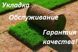 Рулонный газон отличного качества! Продажа и укладка. - оголошення