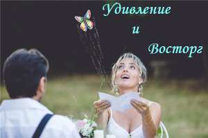 СУПЕРПОДАРОК! Бабочка-сюрприз, вылетающая из открытки.