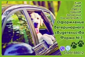 Свідоцтво форма 1, ветеринарний паспорт нового зразка Офіційно - объявление