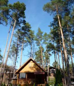 Сдается дом в Обуховском р-не , с. Романков, 20000 грн - оголошення