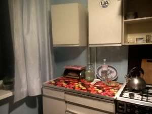Сдам 1 комнатную квартиру, С нюансом,топл.платит хозяйка,5т.Б.Фонтана