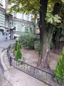 Сдам 2-комн. в центре. Михайловская площадь - объявление