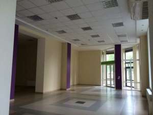 Сдам/Продам нежилое помещение 293 кв.м. и 250 кв.м., пр. Московский - объявление