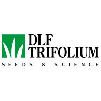 Семена газонной травы DLF Trifolium. ОПТОВАЯ ЦЕНА.