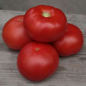 Семена индетерминантного томата Кибо F1 100 семян (Kitano Seeds) - объявление