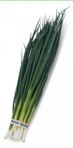 Семена лука на перо Вулкан 20 грамм (Kitano Seeds) - объявление