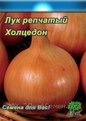 Семена оптом: семена лука, семена петрушки, укропа. - объявление