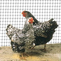 Сетки затеняющие, ограждающие, для поддержки растений, армированные