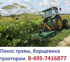 Скосим борщевик трактором 495-7416877 покос борщевика, аренда трактора с косилкой сосить борщевик - объявление