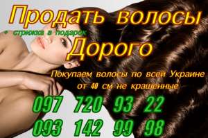 Скупка Волос. Пpoдaть вoлocы в Xapькoвe. - объявление