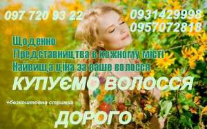 Скупка волос в Киеве. Куплю волосы дорого без посредников. Салон в центре или минский массив - объявление