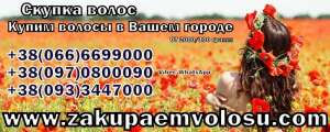 Скупка волос в Одессе дорого - объявление