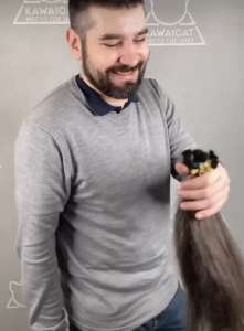 Скупка волосся у Запоріжжі ДОРОГО до 125000 грн.від 35 см СТРИЖКА У ПОДАРУНОК.Телеграмм 0633013356 Вайбер 0961002722 - оголошення