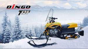 Снегоход Irbis Dingo T125: продажа, цена в Красноярске. снегоходы, снегоход, снегоход купить, снегоходы в красноярске, снегоход ир - объявление