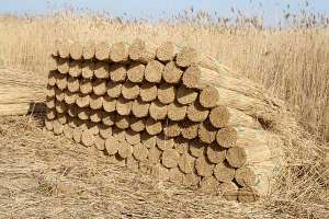 Современные крыши из камыша под ключ!