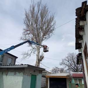 Спил деревьев и обрезка веток. Аккуратно - объявление