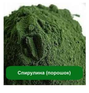 Спирулина (водоросль) - оголошення