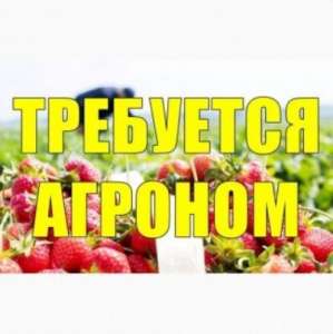 Срoчно тpебуетcя Агроном на предприятие. - объявление