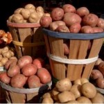 Срочно продам картофель, урожай 2012 года, сорт Белароса (сертифицированный) - оголошення