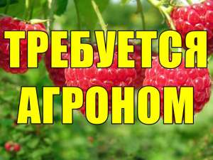 Срочно тpебуетcя Агроном на предприятие. - объявление