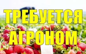 Срочно требуетcя Агроном на предприятие. - объявление