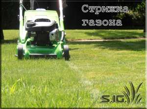 Стрижка газона; покос травы - объявление